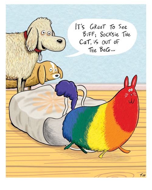 "It's great to see Biff; Socksie the cat is out of the bag..."