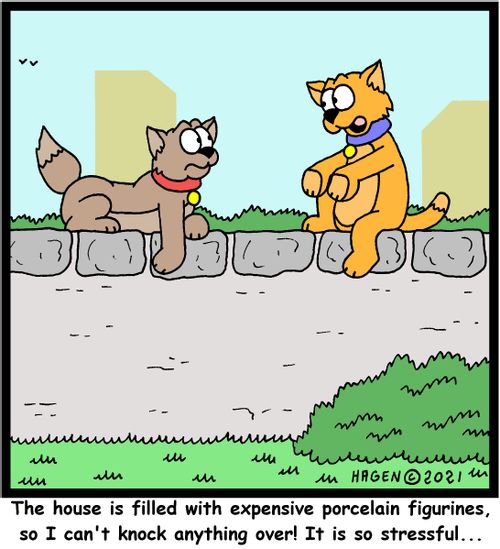 "The house is filled with expensive porcelain figurines, so I can't knock anything over! It is so stressful..."