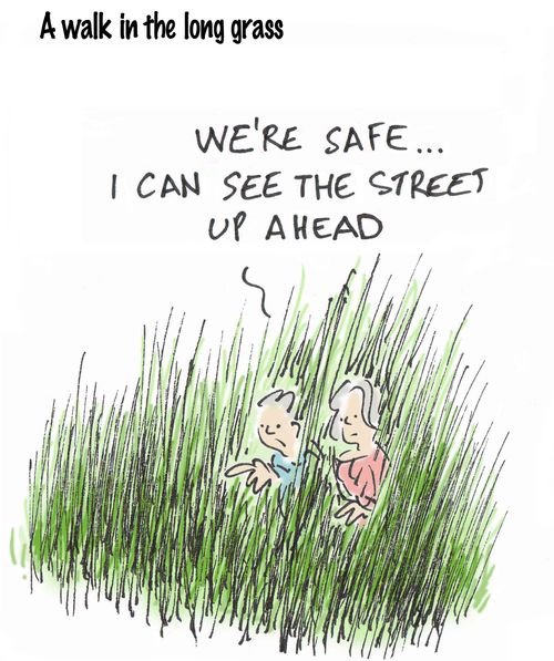 A walk in the long grass. . .