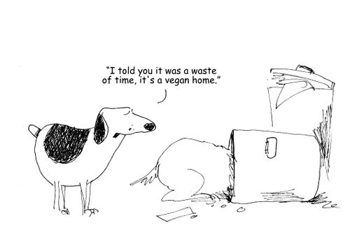 "I told you it was a waste of time, it's a vegan home."