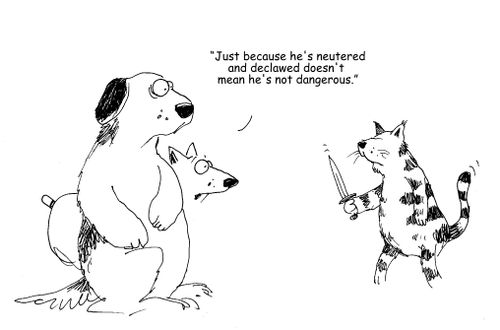 "Just because he's neutered and declawed doesn't mean he's not dangerous."