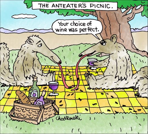 The Anteater's Picnic
