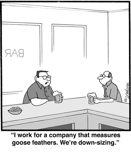 "I work for a company that measures goose feathers. We're down-sizing."