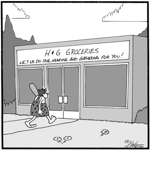 H&G Groceries: Let us do the hunting and gathering for you!