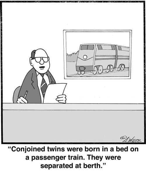 "Conjoined twins were born in a bed on a passenger train. They were separated at berth."