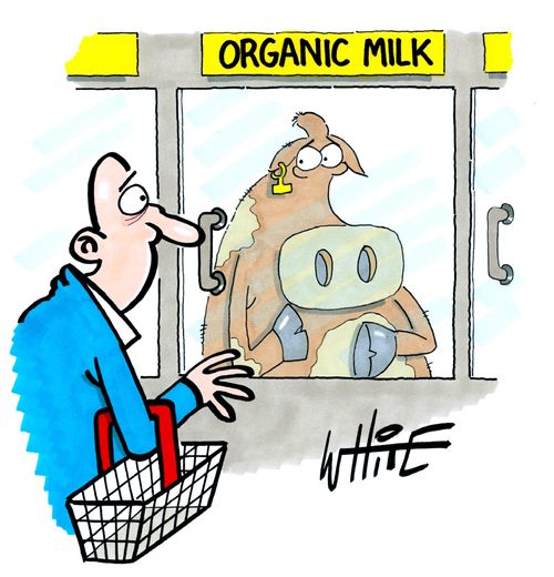Organic Milk