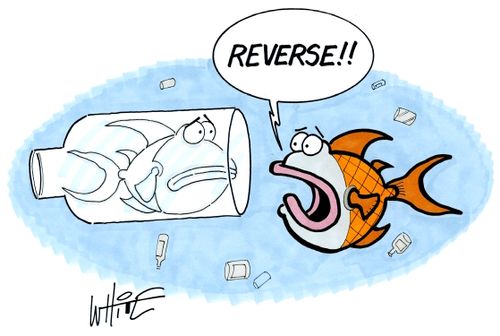 "Reverse!!"