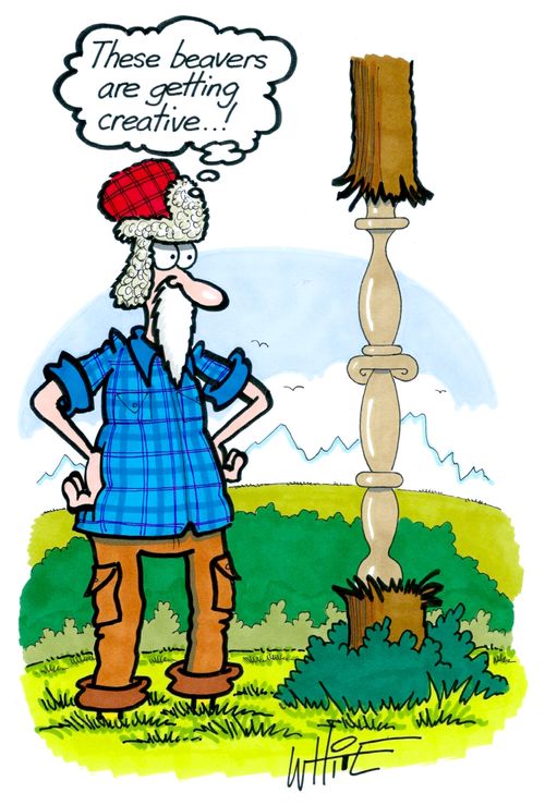"These beavers are getting creative. . !"