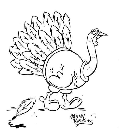 Turkey Feather