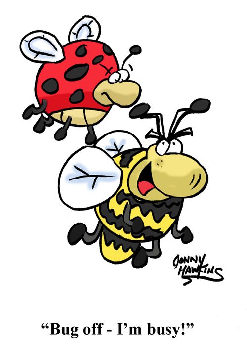 "Bug off - I'm busy!"