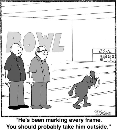 "He's been marking every frame. You should probably take him outside."