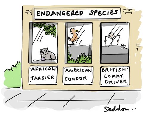 Endangered Species
