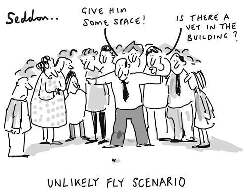 Unlikely Fly Scenario