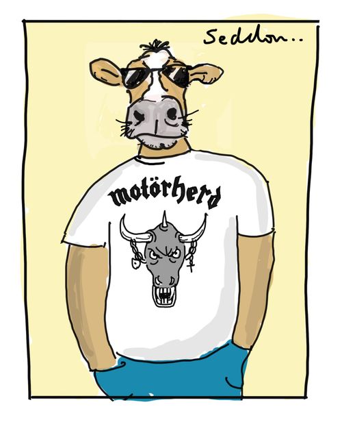 Motorherd