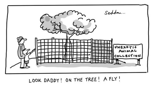 "Look Daddy! On the tree! A fly!"