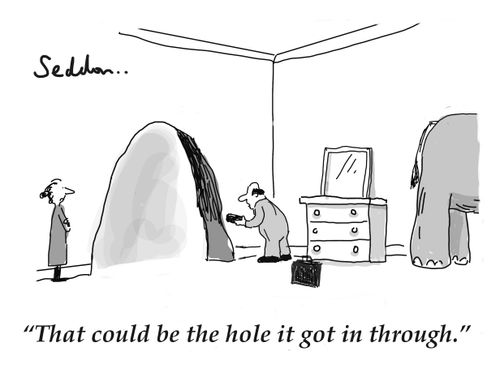 "That could be the hole it got in through."