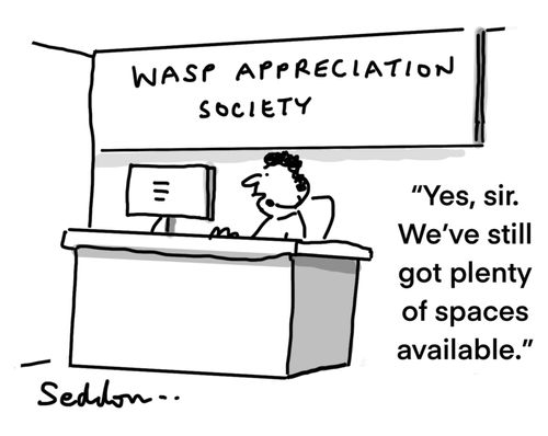 Wasp appreciation society