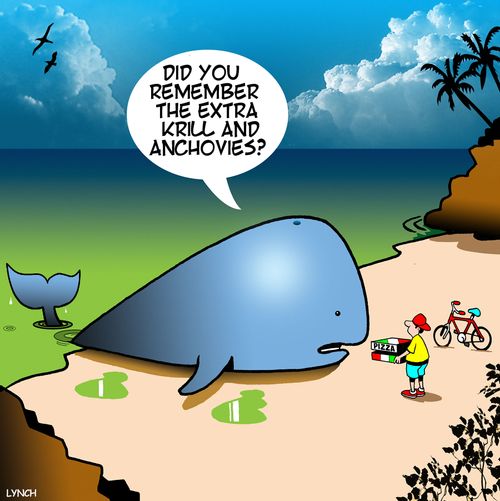 "Did you remember the extra krill and anchovies?" 