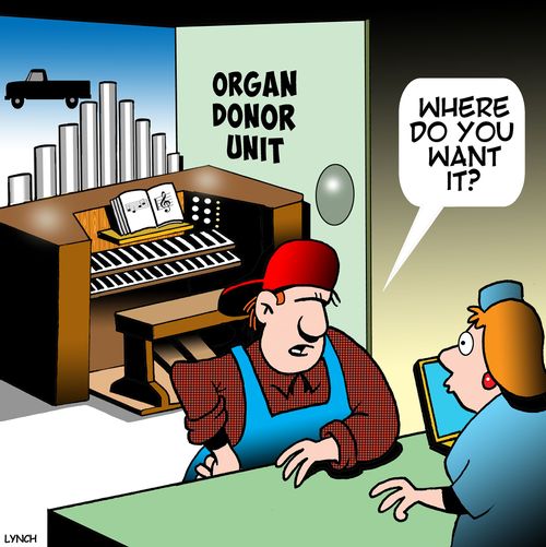 Organ donor unit