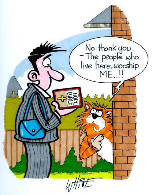 "No thank you - The people who live here, worship me. . !!"