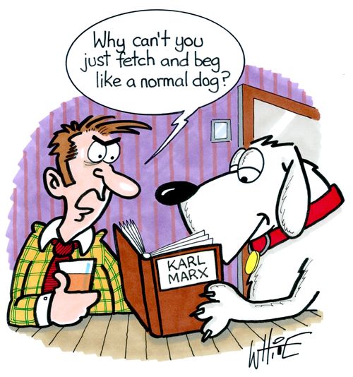 "Why can't you just fetch and beg like a normal dog?"