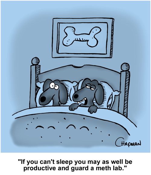 "If you can't sleep you may as well be productive and guard the meth lab."