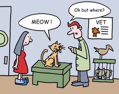 "Meow!"