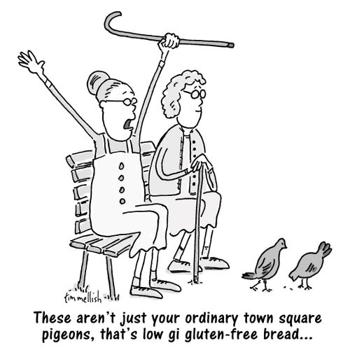 "These aren't just your ordinary town square pigeons, that's low gi gluten-free bread. . ."