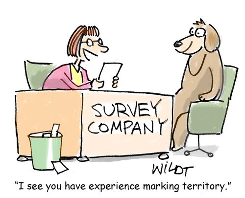 "I see you have experience marking territory."