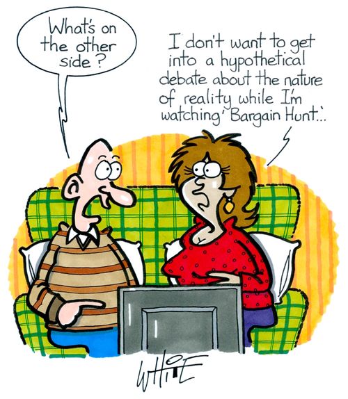 "I don't want to get into a hypothetical debate about the nature of reality while I'm watching 'Bargain Hunt'. . ."
