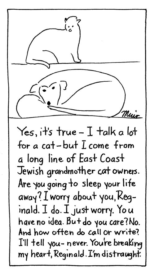 "Yes, it's true - I talk a lot for a cat - but I come from a long line of East Coast Jewish grandmother cat owners. . ."