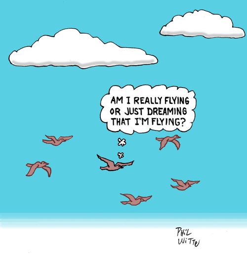 "Am I really flying or just dreaming that I'm flying?"