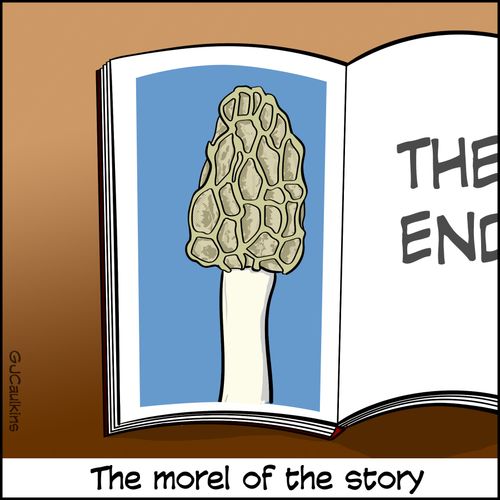 Morel of the story