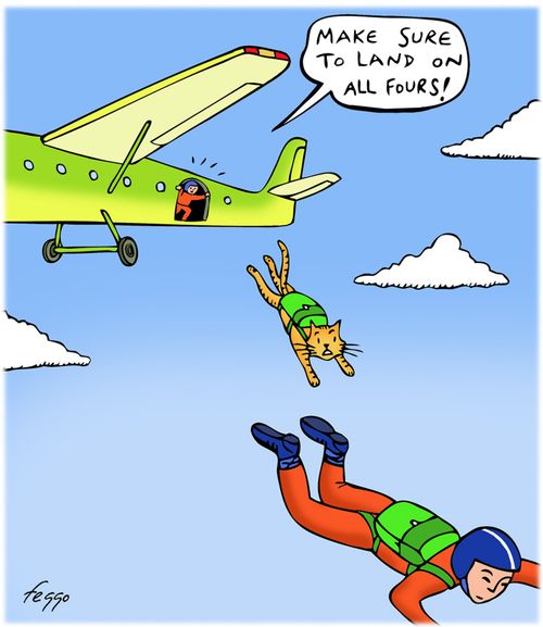 "Make sure to land on all fours!"
