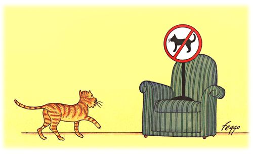 Banning Cats from the Furniture