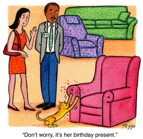 "Don't worry, it's her birthday present."