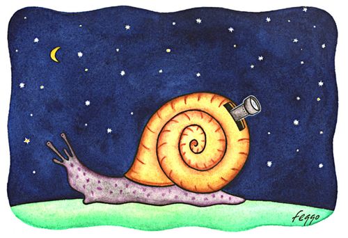 Snail Observatory