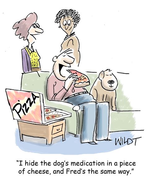 "I hide the dog's medication in a piece of cheese, and Fred's the same way."