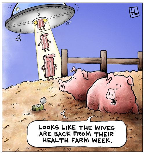 "Looks like the wives are back from their health farm week."