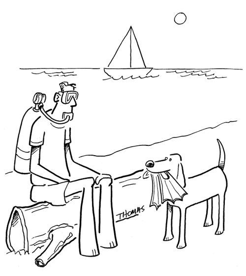 Dog brings diver flippers.
