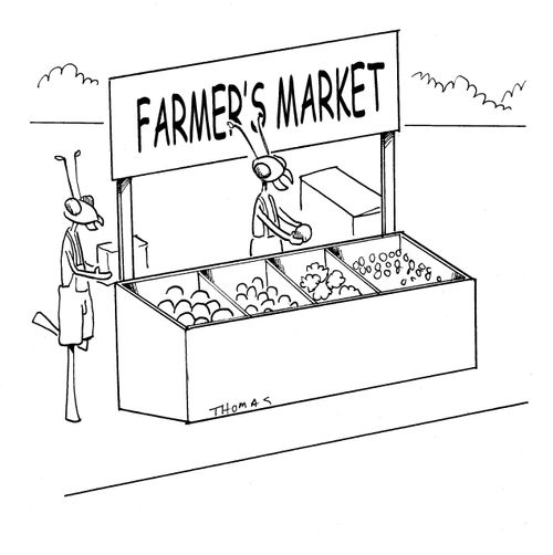 Farmer's Market