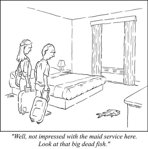 "Well, not impressed with the maid service here. Look at that big dead fish."