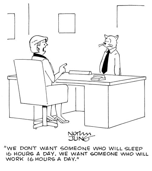 "We don't want someone who will sleep 16 hours a day. We want someone who will work 16 hours a day."