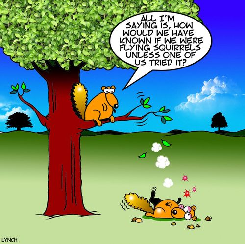 "All I'm saying is, how would we have known if we were flying squirrels unless one of us tried it?"