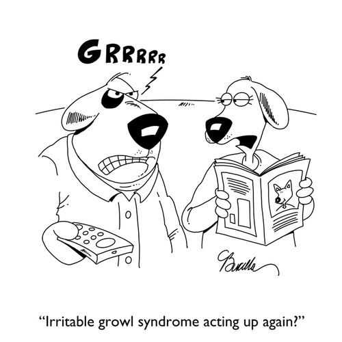 "Irritable growl syndrome acting up again?"