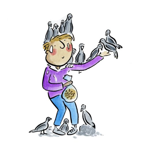Feeding the pigeons