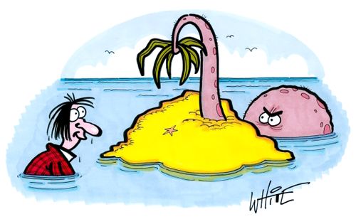Octopus Trap