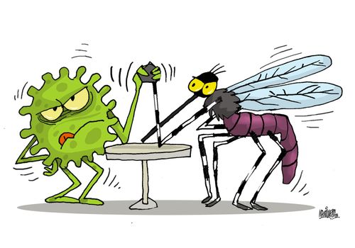 Covid and Aedes
