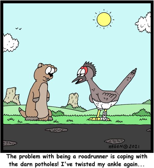 "The problem with being a roadrunner is coping with the darn potholes! I've twisted my ankle again..."