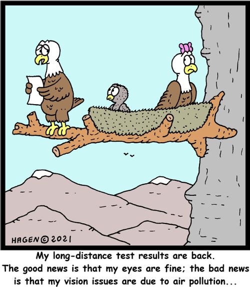 "My long-distance test results are back. The good news is that my eyes are fine: the bad news is that my vision issues are due to air pollution..."
